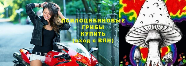 mdpv Баксан