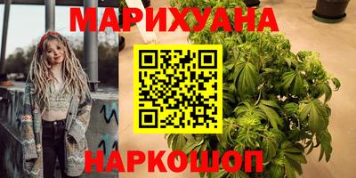 сатива Моздок