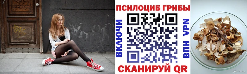 Галлюциногенные грибы Magic Shrooms  Борисоглебск 