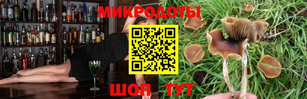 Борисоглебск  Галлюциногенные грибы Cubensis  Вход с VPN 