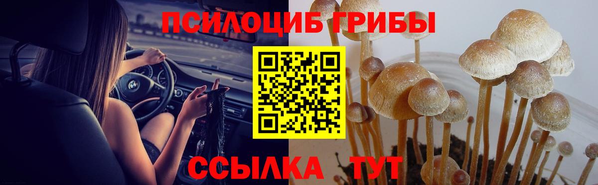 Псилоцибиновые грибы Magic Shrooms Борисоглебск