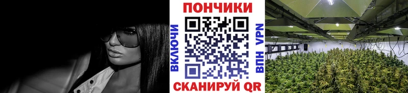 Каннабис AK-47 Борисоглебск